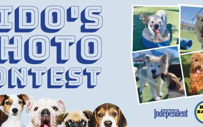 Fido’s Photo Contest