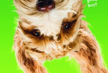 Virtual Author Discussion: Local Children’s Author Bruce Hale