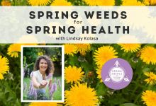 Online Event: Spring Weeds for Spring Health, Seasonal Herbalism