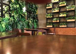 The Biophilic Buzz