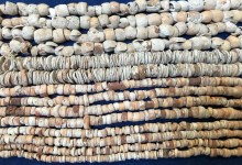Zoom Event: Conversations with a Curator – Shell Bead Money