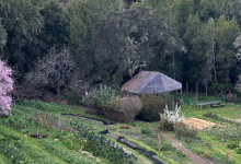 Zoom Event: Ecological Civilizations – Possibilities & Practices