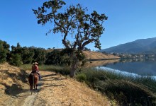 Unplugging at a Dude Ranch