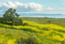 Zoom Info Session: Save San Marcos Foothills Campaign