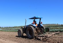 Save Summerland Farm