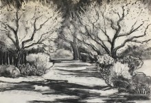 SCENES OF SANTA YNEZ VALLEY