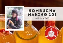 FREE ONLINE CLASS – Kombucha Brewing 101