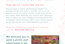 Create a Beautiful Custom Terrarium