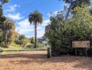 The Restorative Powers of Arroyo Burro Open Space