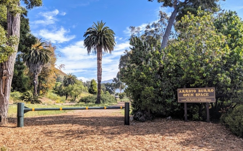 The Restorative Powers of Arroyo Burro Open Space