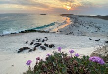 The Lure of Point Bennett