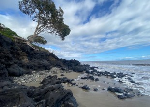 Why I Love Long Walks on the Beach