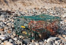 Watershed Brigade Lobster Trap Cleanup Event