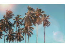 Osher Lifelong Learning classes start on June 14th on Zoom