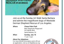 Westside German Shepherd Rescue Adoption Event