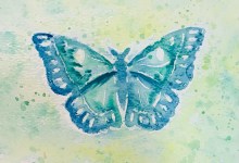 Art Meets Science Wax Resist Watercolor Butterfly – Virtual Class