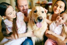 Lunch & Learn: Don’t Forget Your Pet in Your Will