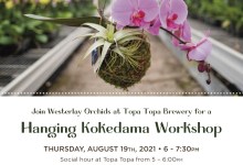 Hanging Kokedama Workshop with Westerlay Orchids