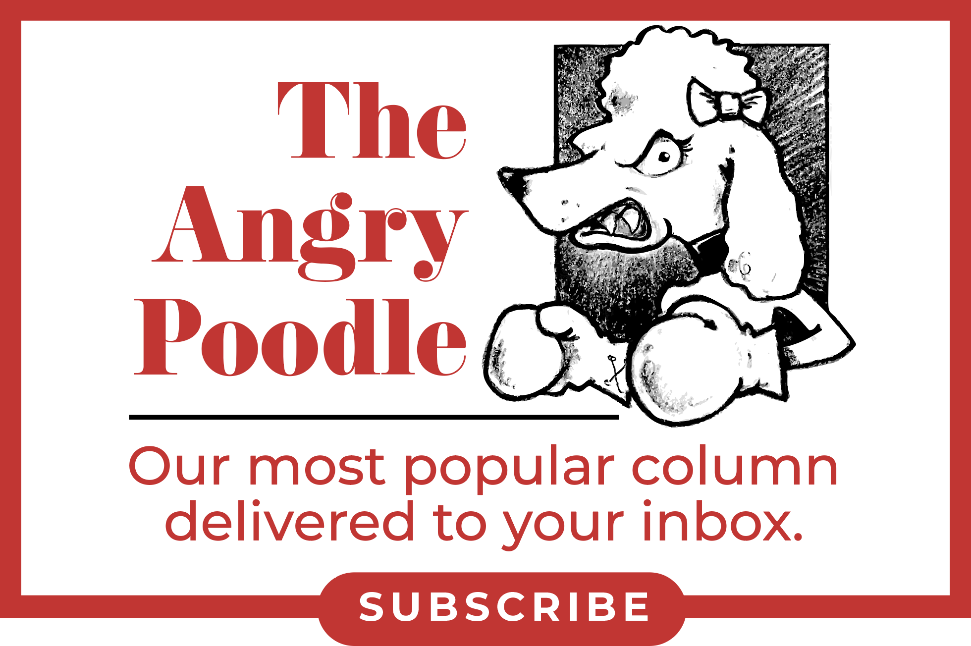 Angry-Poodle