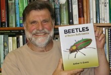 Science Pub From Home: Beetles of W. North America