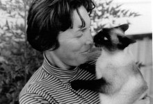 Virginia Elaine Stewart Jarvis
