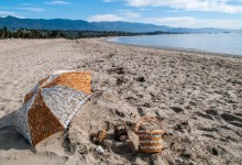 Beach Cleanup with the Sea Center: East Beach