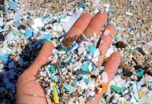 Watershed Brigade Microtrash Challenge