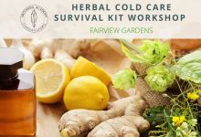 Herbal Cold Care Survival Kit Workshop