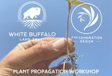 In Person: Plant Propagation Workshop at WBLT