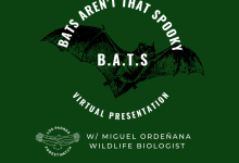 Online: B.A.T.S. – Bats Aren’t That Spooky