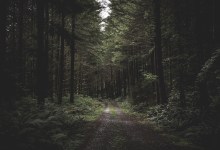 The ABCs of Easements