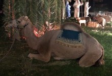 30th Annual Living Nativity