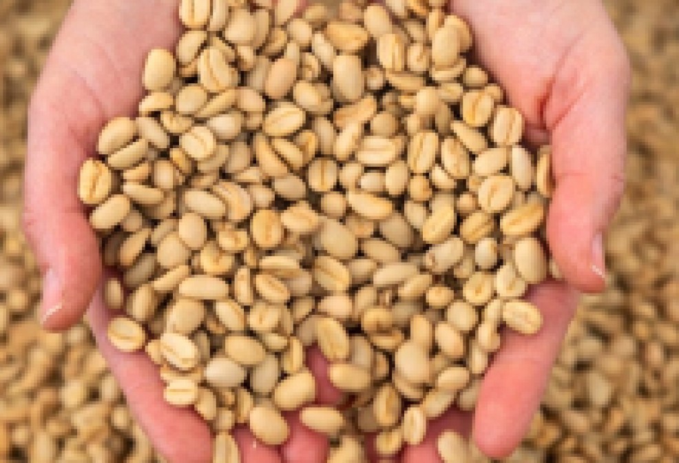 Can California Correct Coffee?