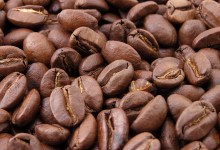 Coffee, Land, and Water
