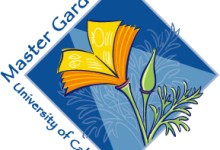Online: FREE, Monthly Garden Talks with UC Master Gardener