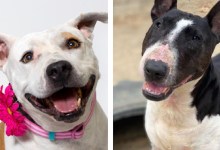 Roxanne and Chanel
