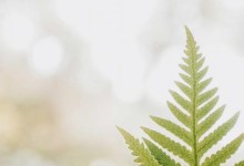 In-Person: You Will Be Found: Hope Songs