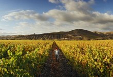 Historic Santa Barbara County Wine Properties Change Hands