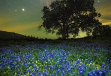 POSTPONED – Photography Workshop with Nic Stover – POSTPONED