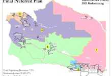 Poodle: Winners and Losers in Santa Barbara County’s New Districts