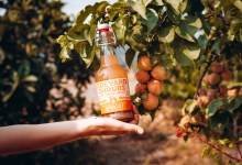 Sideyard Shrubs Turns Fruit Waste into Sour Sippers