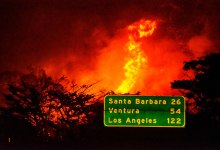 Our Most-Liked Instagram Posts: 2021 in Review