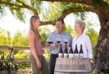 Piazza Family Wines Pair Experience with Experimentation