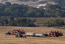 Cannabis Is a Thirsty Crop