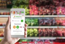How to Use Instacart Delivery Service
