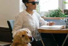 Is A Guide Dog the Right Fit for You?