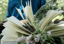 Intro to Plant Identification