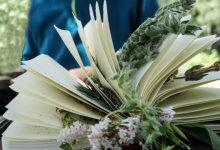 Intro to Plant Identification