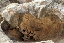Herb Walk at Gaviota Wind Caves