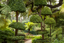 Book Release and Garden Party